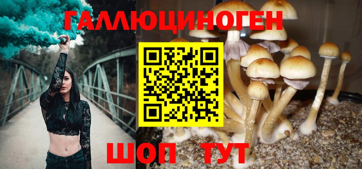 Галлюциногенные грибы Magic Shrooms Белая Калитва